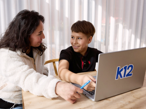Mother and her son working with their laptop